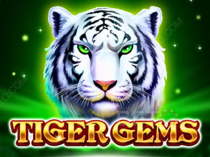 Tiger Gems 데모 버전