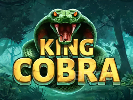 King Cobra 데모 버전