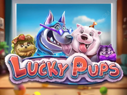 Lucky Pups 데모 버전