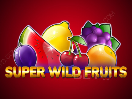 Super Wild Fruits 데모 버전