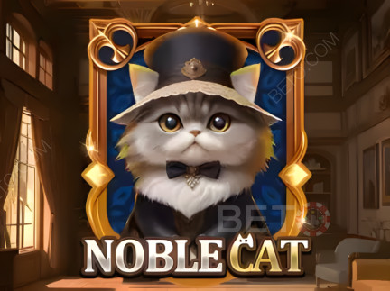 Noble Cat 데모 버전