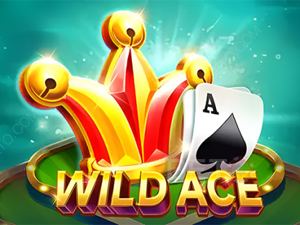 Wild Ace 데모 버전