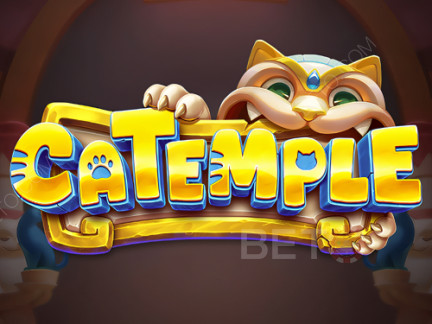 Catemple 데모 버전