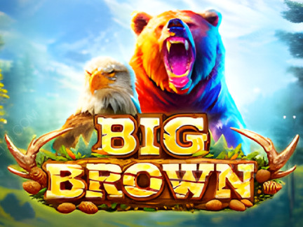 Big Brown 데모 버전