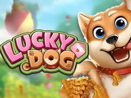 Lucky Dog 데모 버전