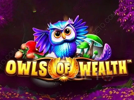 Owls of Wealth 데모 버전