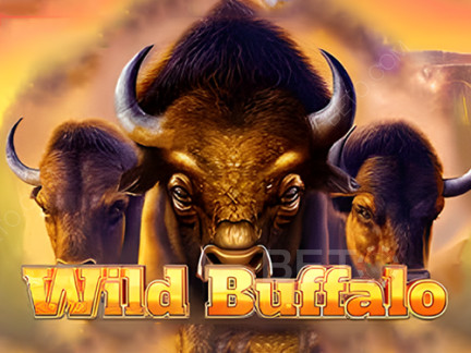 Wild Buffalo 데모 버전