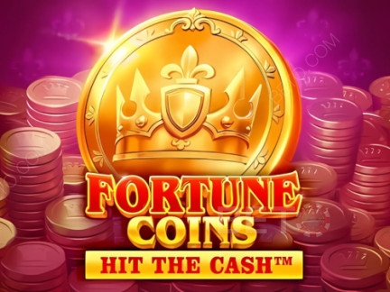 Fortune Coins 데모 버전