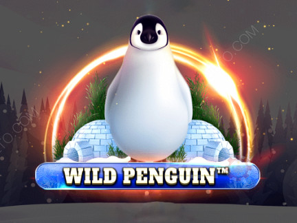 Wild Penguin 데모 버전