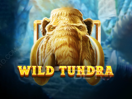 Wild Tundra 데모 버전