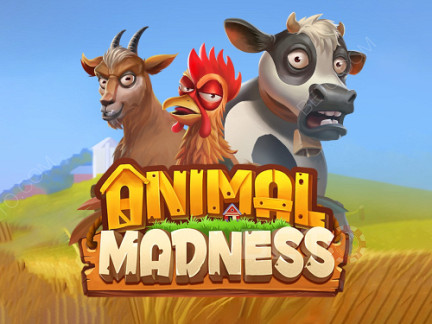 Animal Madness 데모 버전